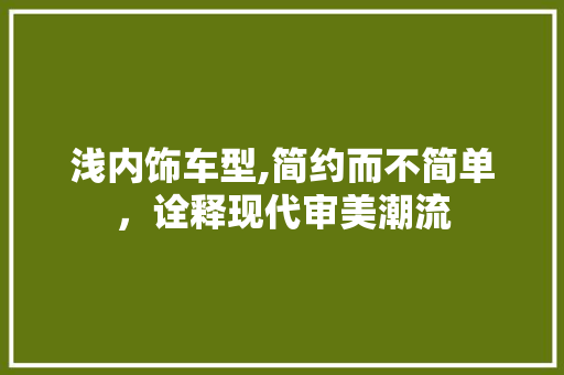 浅内饰车型,简约而不简单，诠释现代审美潮流