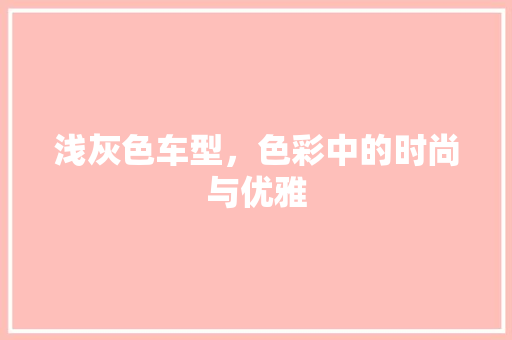 浅灰色车型，色彩中的时尚与优雅