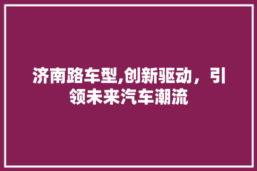济南路车型,创新驱动，引领未来汽车潮流