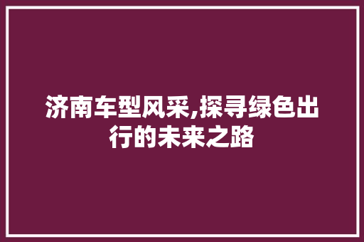 济南车型风采,探寻绿色出行的未来之路