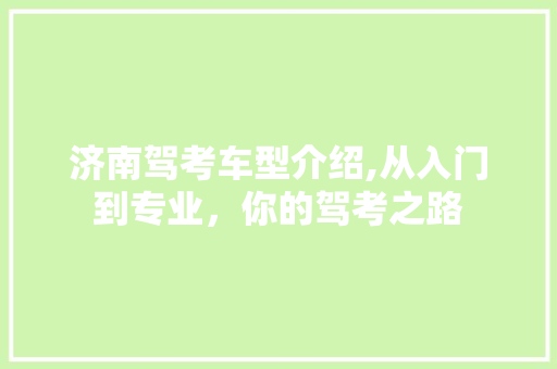 济南驾考车型介绍,从入门到专业，你的驾考之路 汽车配件