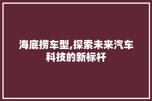 海底捞车型,探索未来汽车科技的新标杆