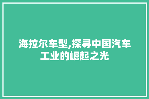 海拉尔车型,探寻中国汽车工业的崛起之光