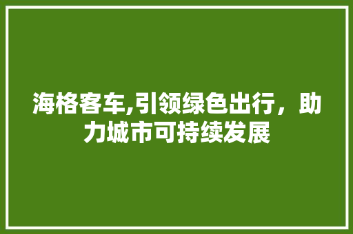 海格客车,引领绿色出行，助力城市可持续发展
