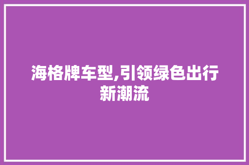 海格牌车型,引领绿色出行新潮流