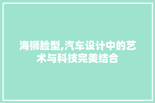 海狮脸型,汽车设计中的艺术与科技完美结合