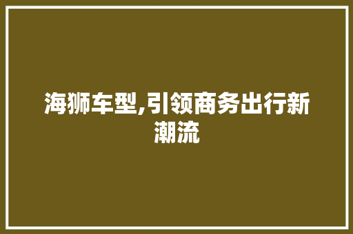 海狮车型,引领商务出行新潮流