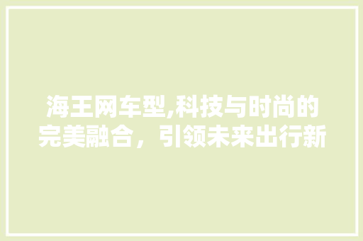 海王网车型,科技与时尚的完美融合，引领未来出行新潮流