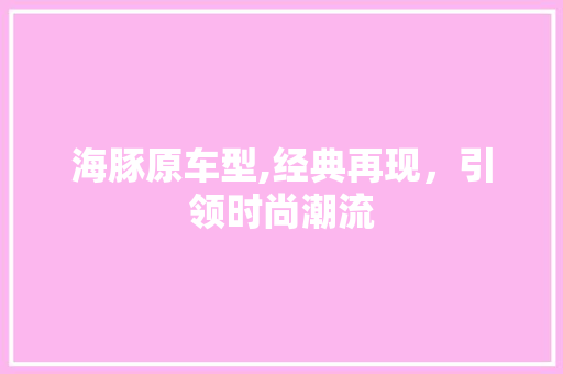海豚原车型,经典再现，引领时尚潮流