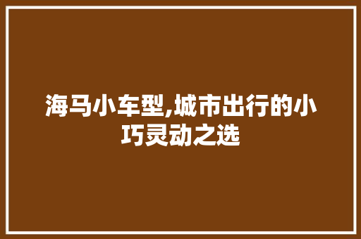 海马小车型,城市出行的小巧灵动之选