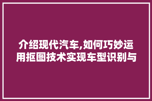 介绍现代汽车,如何巧妙运用抠图技术实现车型识别与处理
