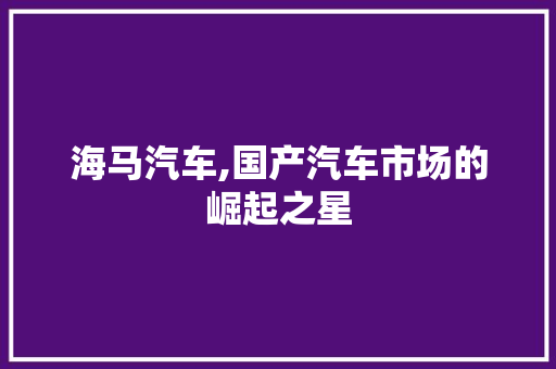 海马汽车,国产汽车市场的崛起之星