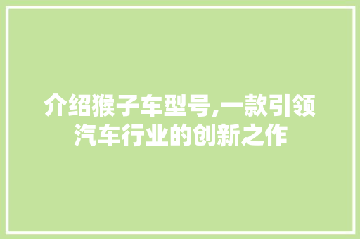 介绍猴子车型号,一款引领汽车行业的创新之作 车身配件