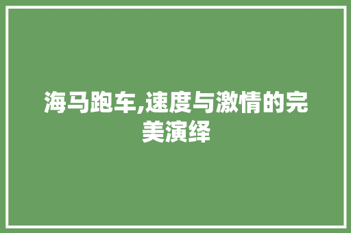 海马跑车,速度与激情的完美演绎