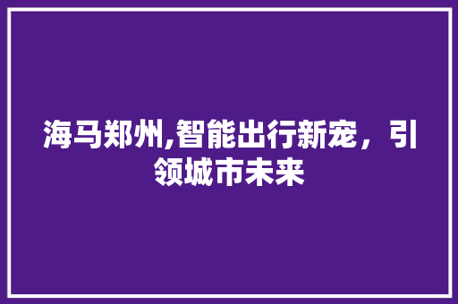 海马郑州,智能出行新宠，引领城市未来