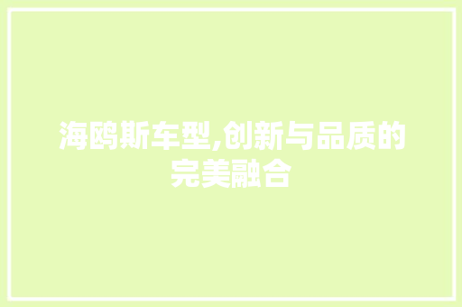 海鸥斯车型,创新与品质的完美融合