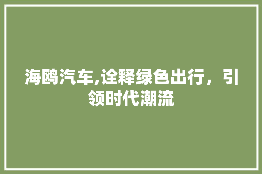 海鸥汽车,诠释绿色出行，引领时代潮流