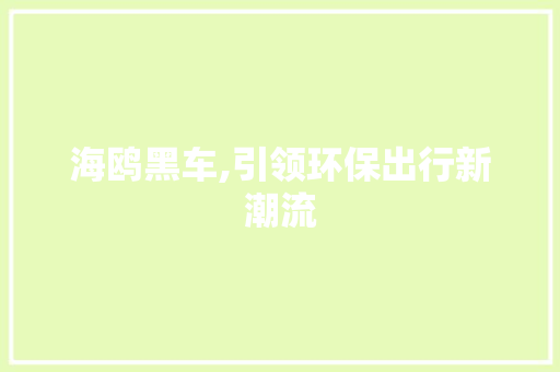 海鸥黑车,引领环保出行新潮流