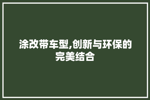 涂改带车型,创新与环保的完美结合