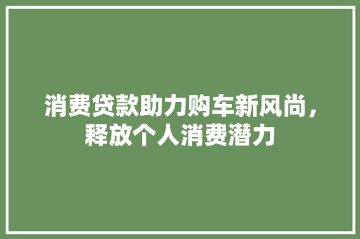 消费贷款助力购车新风尚，释放个人消费潜力 底盘配件