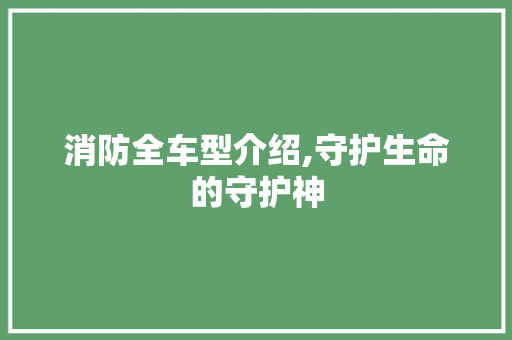 消防全车型介绍,守护生命的守护神