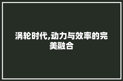 涡轮时代,动力与效率的完美融合