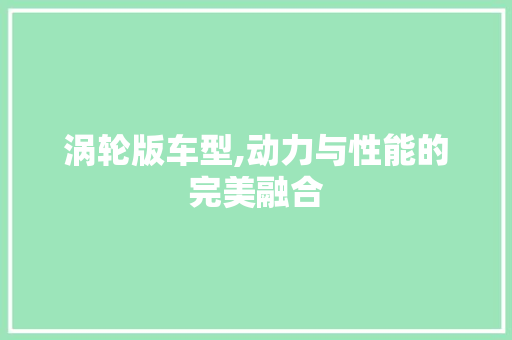 涡轮版车型,动力与性能的完美融合