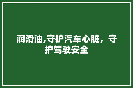 润滑油,守护汽车心脏，守护驾驶安全