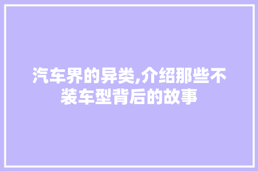 汽车界的异类,介绍那些不装车型背后的故事