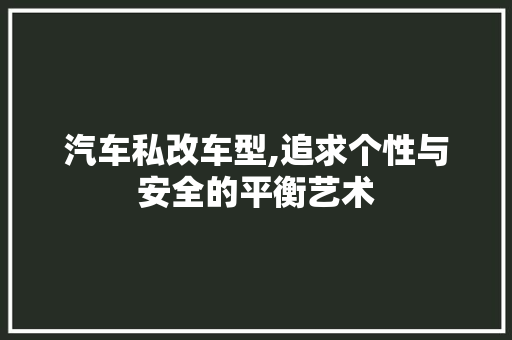 汽车私改车型,追求个性与安全的平衡艺术