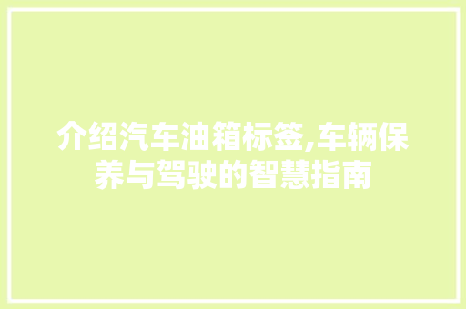 介绍汽车油箱标签,车辆保养与驾驶的智慧指南