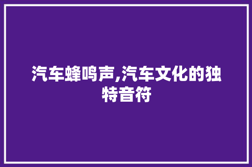 汽车蜂鸣声,汽车文化的独特音符