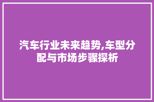 汽车行业未来趋势,车型分配与市场步骤探析