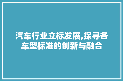 汽车行业立标发展,探寻各车型标准的创新与融合