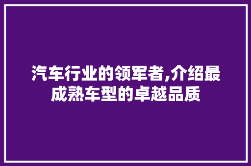 汽车行业的领军者,介绍最成熟车型的卓越品质