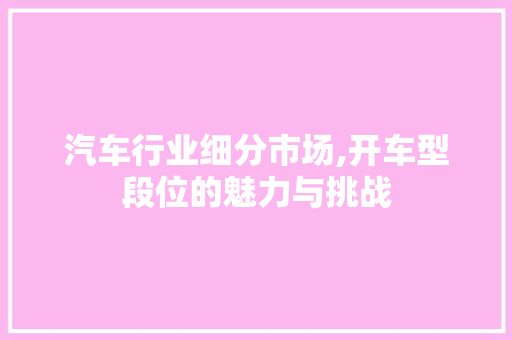 汽车行业细分市场,开车型段位的魅力与挑战