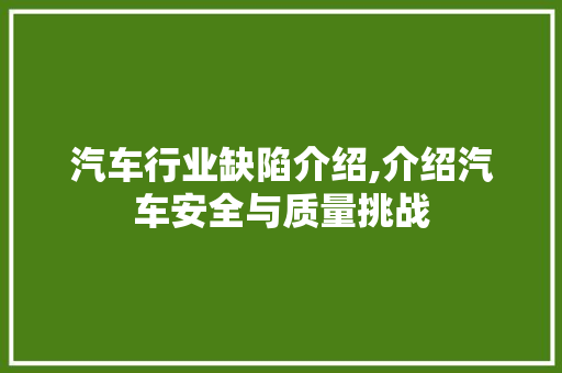 汽车行业缺陷介绍,介绍汽车安全与质量挑战