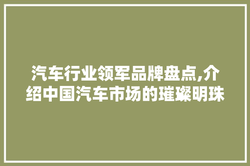 汽车行业领军品牌盘点,介绍中国汽车市场的璀璨明珠