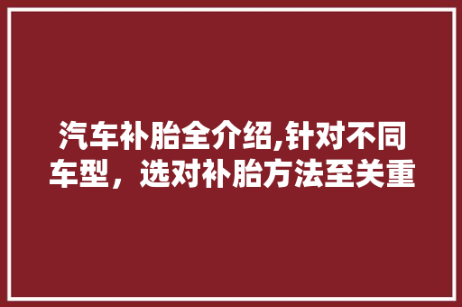 汽车补胎全介绍,针对不同车型，选对补胎方法至关重要