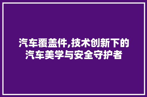 汽车覆盖件,技术创新下的汽车美学与安全守护者