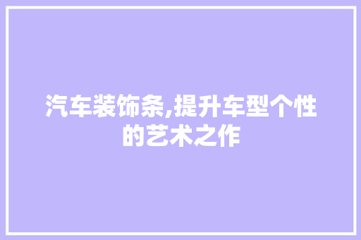 汽车装饰条,提升车型个性的艺术之作 汽车配件