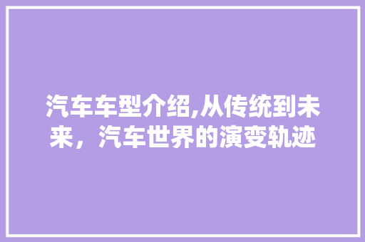 汽车车型介绍,从传统到未来，汽车世界的演变轨迹