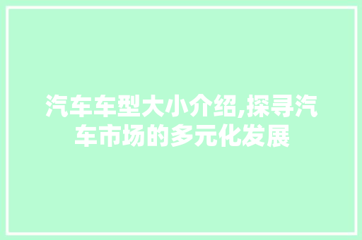 汽车车型大小介绍,探寻汽车市场的多元化发展