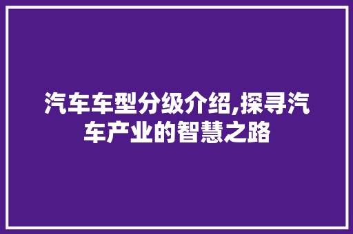 汽车车型分级介绍,探寻汽车产业的智慧之路