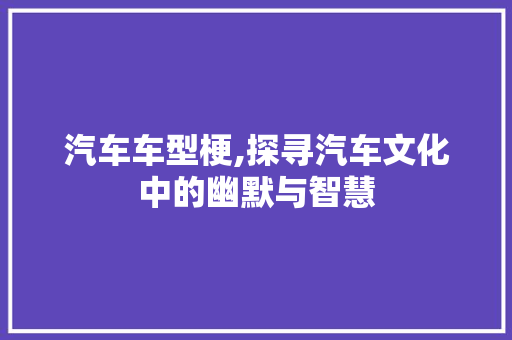 汽车车型梗,探寻汽车文化中的幽默与智慧