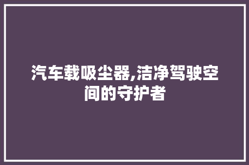 汽车载吸尘器,洁净驾驶空间的守护者