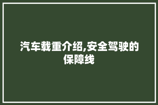 汽车载重介绍,安全驾驶的保障线