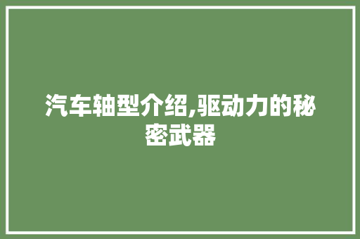 汽车轴型介绍,驱动力的秘密武器