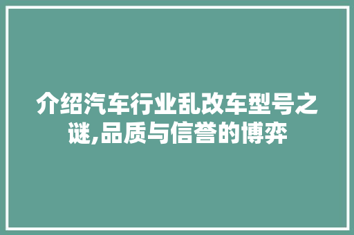 介绍汽车行业乱改车型号之谜,品质与信誉的博弈 新能源汽车