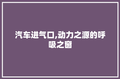 汽车进气口,动力之源的呼吸之窗